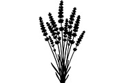 Lavender Flower Silhouette, an Object Graphic by Designer_Momina (Thumbnail 19 of 20)