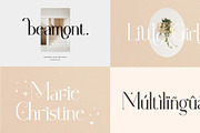 Elegante Serif & Sans Serif Bundle, a Sans Serif Font by Flawless And Co (Thumbnail 2 of 10)