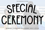 Special Ceremony, a Sans Serif Font by FreshTypeINK (Thumbnail 1 of 8)