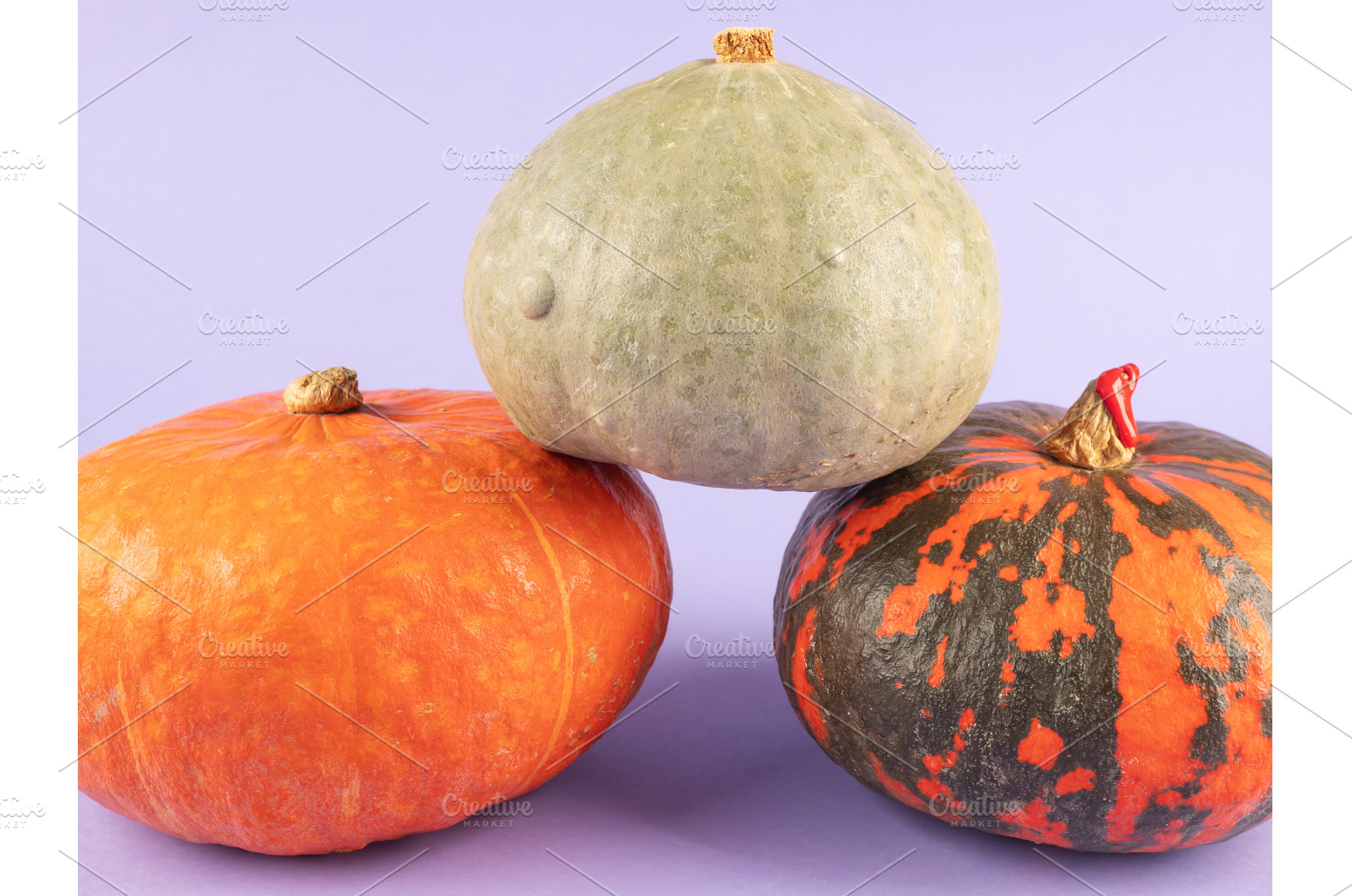 Three colorful pumpkins on purple, a Food & Drink Photo by Lifemorning