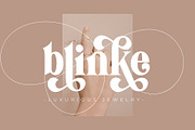 Vanilla Right - Modern Serif Font, a Serif Font by Airotype (Thumbnail 6 of 18)