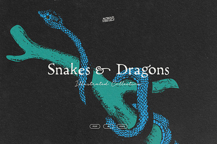 Snakes & Dragons, an Animal Illustration by Nomad Visuals