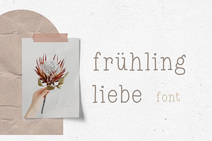 FONT FRHLINGSLIEBE / Handwritten