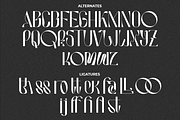 Hausser Modern Display, a Font by Creatype Studio (Thumbnail 8 of 11)