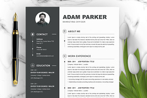 Modern & Professional Colour Resume