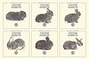 VECTOR RABBITS HAND DRAWN BUNDLE v18, an Animal Illustration by pawellpi (Thumbnail 6 of 7)
