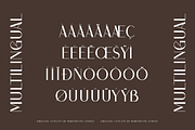 Palion Sans Serif, a Sans Serif Font by Maryamtype Studio (Thumbnail 9 of 11)