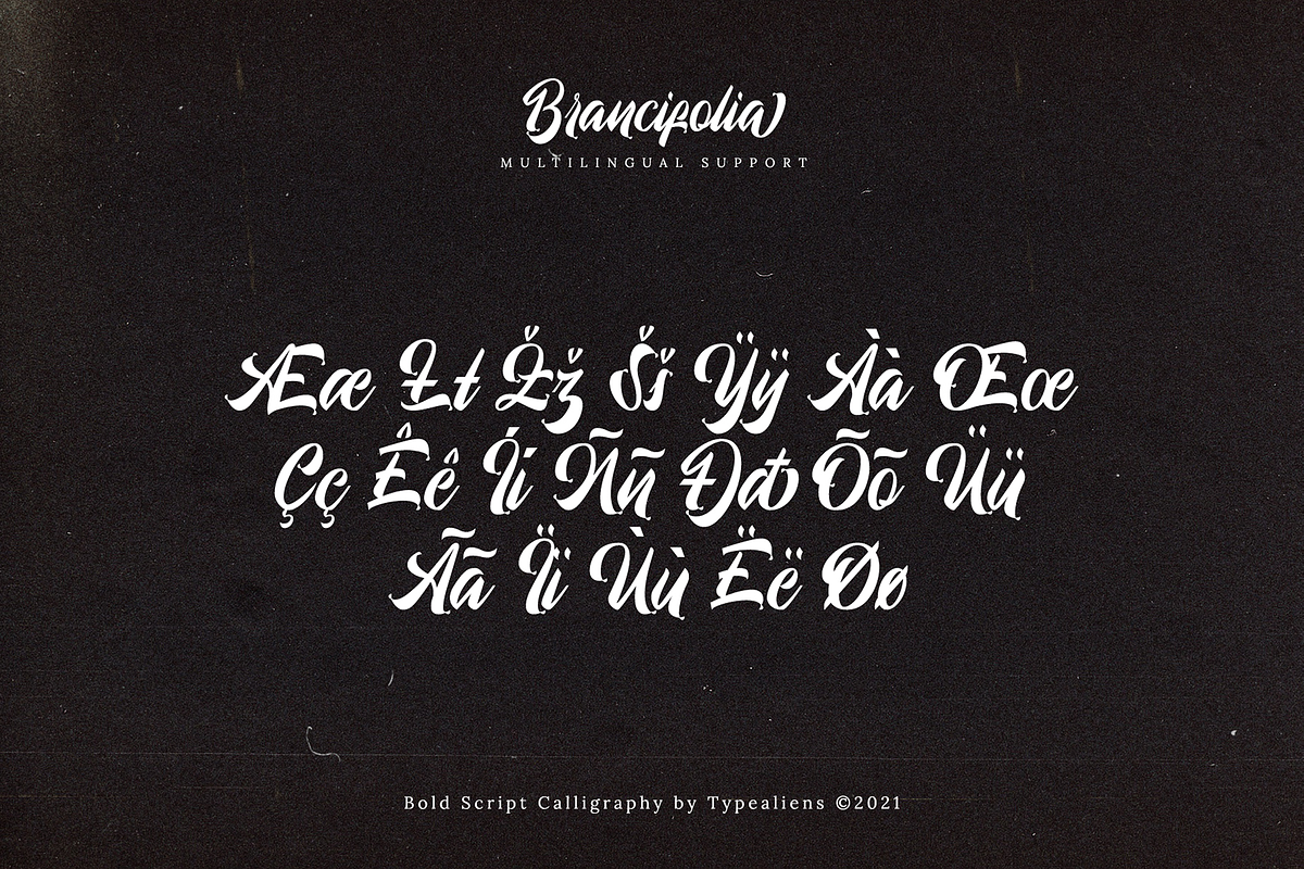 Brancifolia, a Script Font by ilhamtaro (Photo 9 of 11)