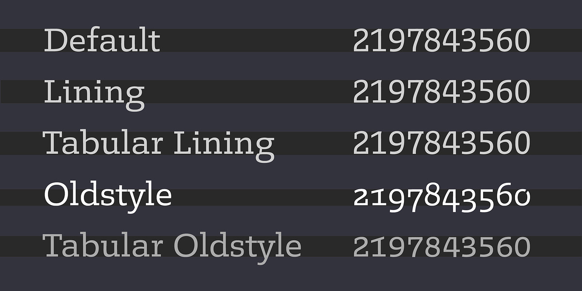 Legit Slab, a Slab Serif Font by Finaltype (Photo 3 of 12)