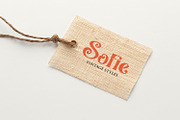 Vanisha - Modern Serif Display, a Serif Font by Koplexs Studio (Thumbnail 6 of 11)