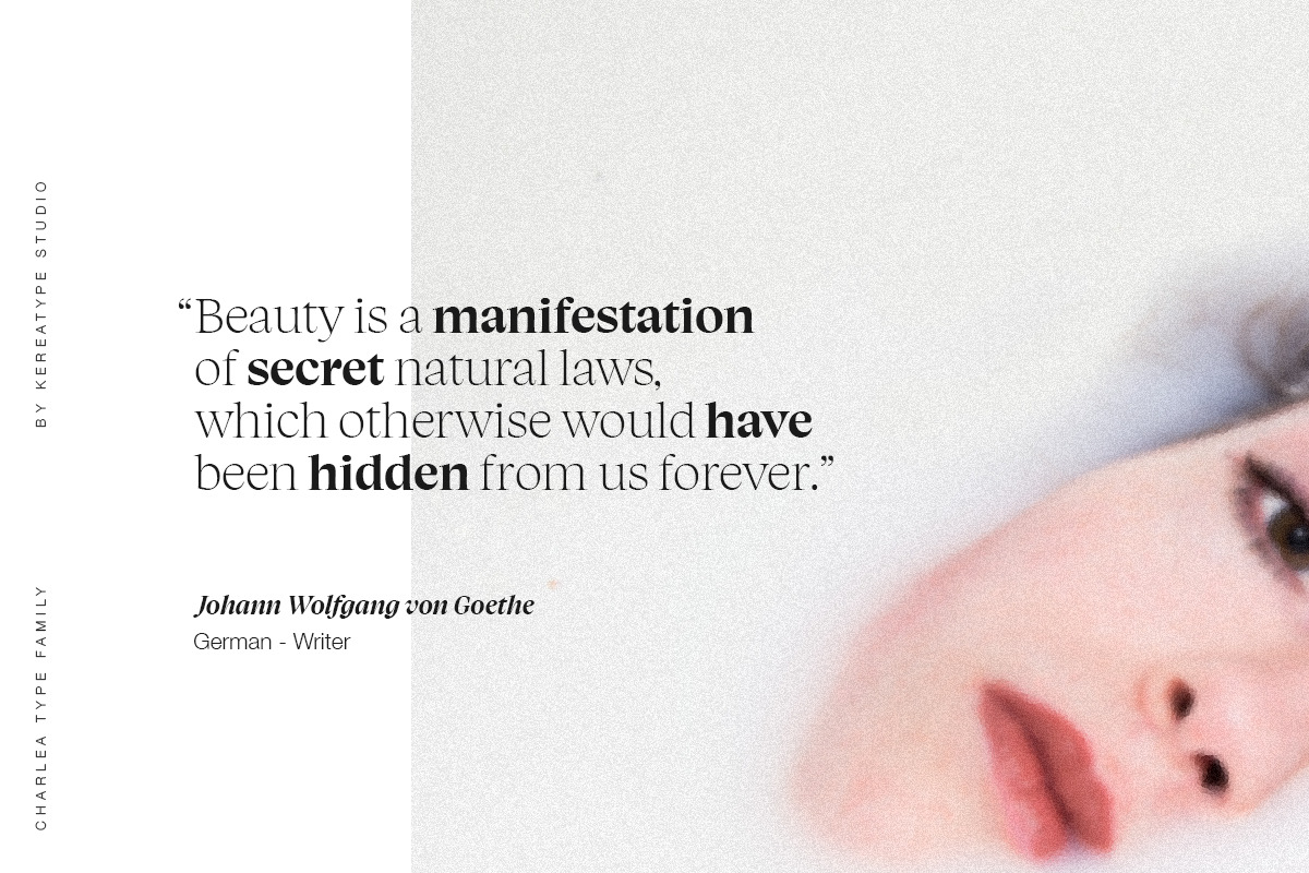 Charlea Serif Family (20 Fonts), a Serif Font by Kereatype (Photo 2 of 22)