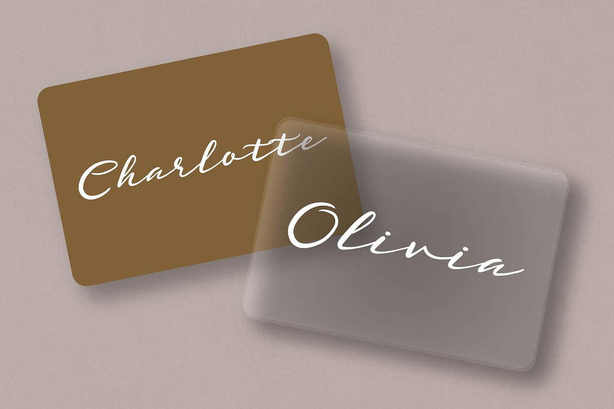 Agnolith - Signature Script Fonts, a Script Font by Patria Ari (P4tcreativa) (Photo 6 of 10)
