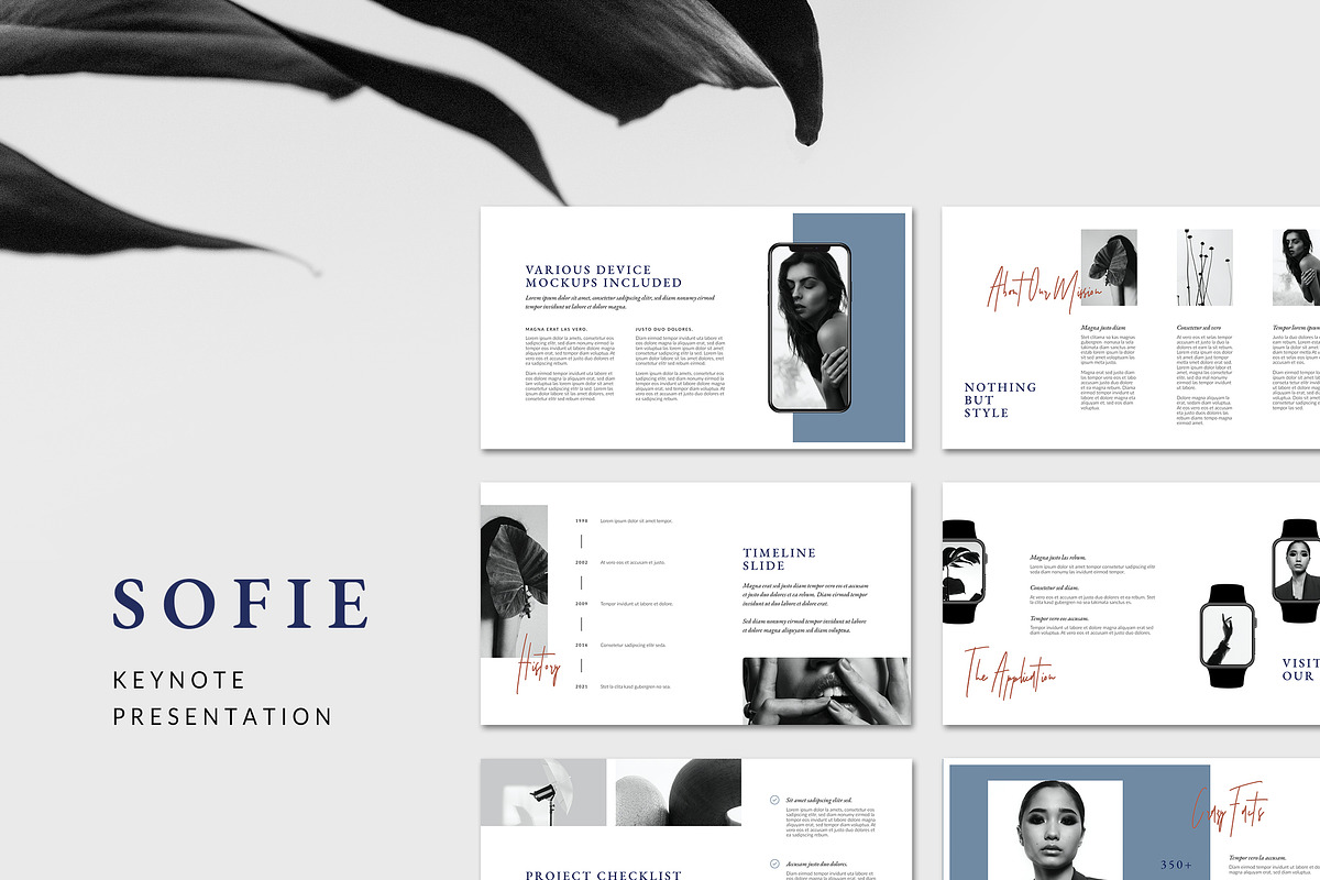 Keynote Bundle Feminine Templates, a Presentation Template by AgataCreate (Photo 10 of 14)