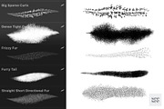 Procreate Fur 45 Brush Pack, a Brush Add-On by CC CREATIVE CO (Thumbnail 9 of 12)