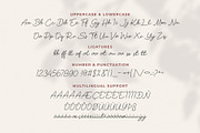Soul Of You Modern Script Font, a Handwritten Font by Heinzel Std (Thumbnail 10 of 12)