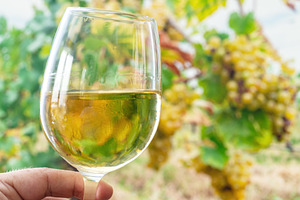 Glass of white wine in man hand and cluster of grapes on vine at, a Food & Drink Photo by Volff