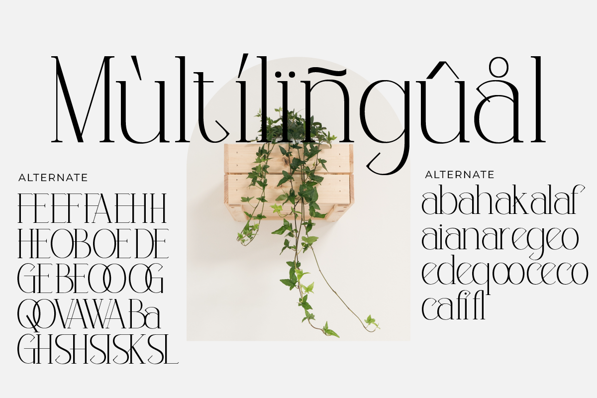 Mouncella, a Serif Font by Muksal Creative (Photo 8 of 10)