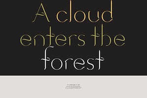 Cloudforest. Chic, Modern Serif Font