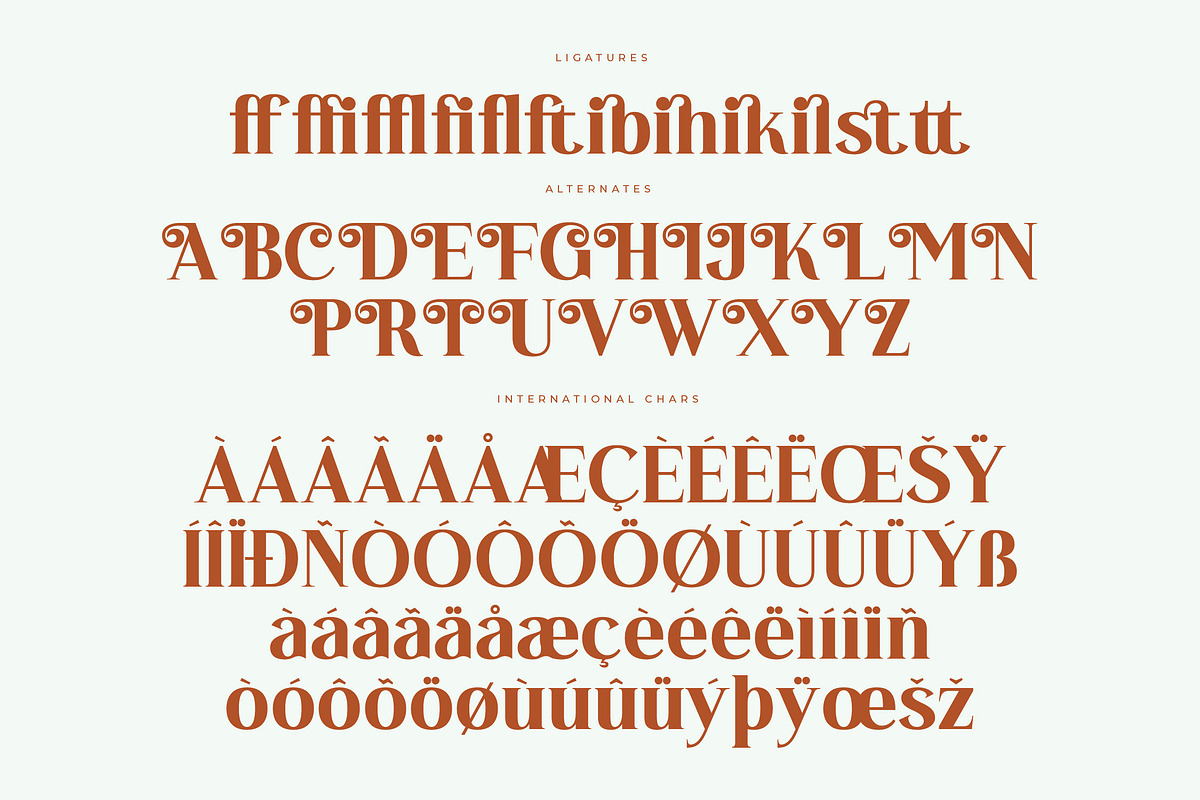 Sunny Oasis Modern Serif font, a Serif Font by Letterena Studios (Photo 14 of 15)