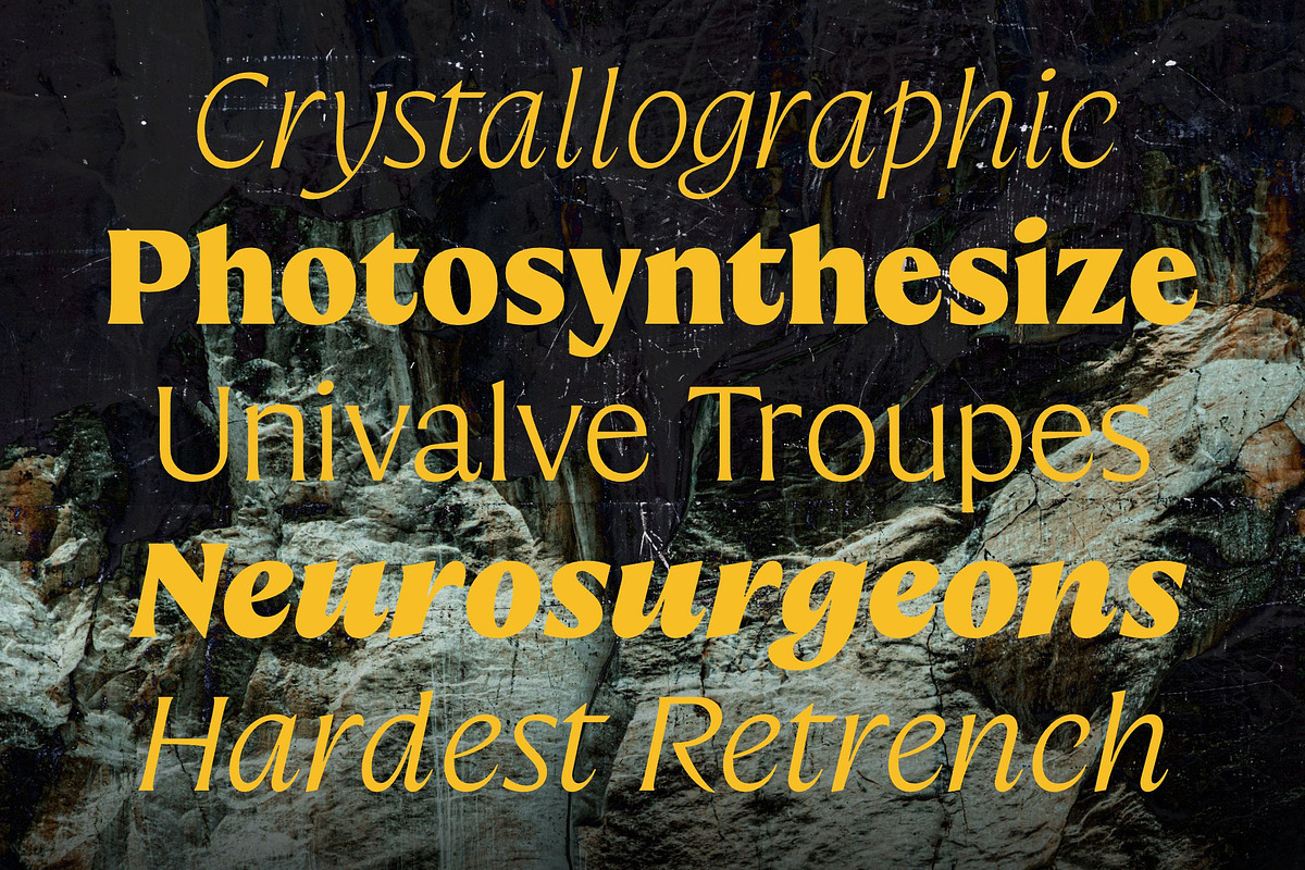 Preztik Display Typeface, a Serif Font by Glowtype (Photo 3 of 15)