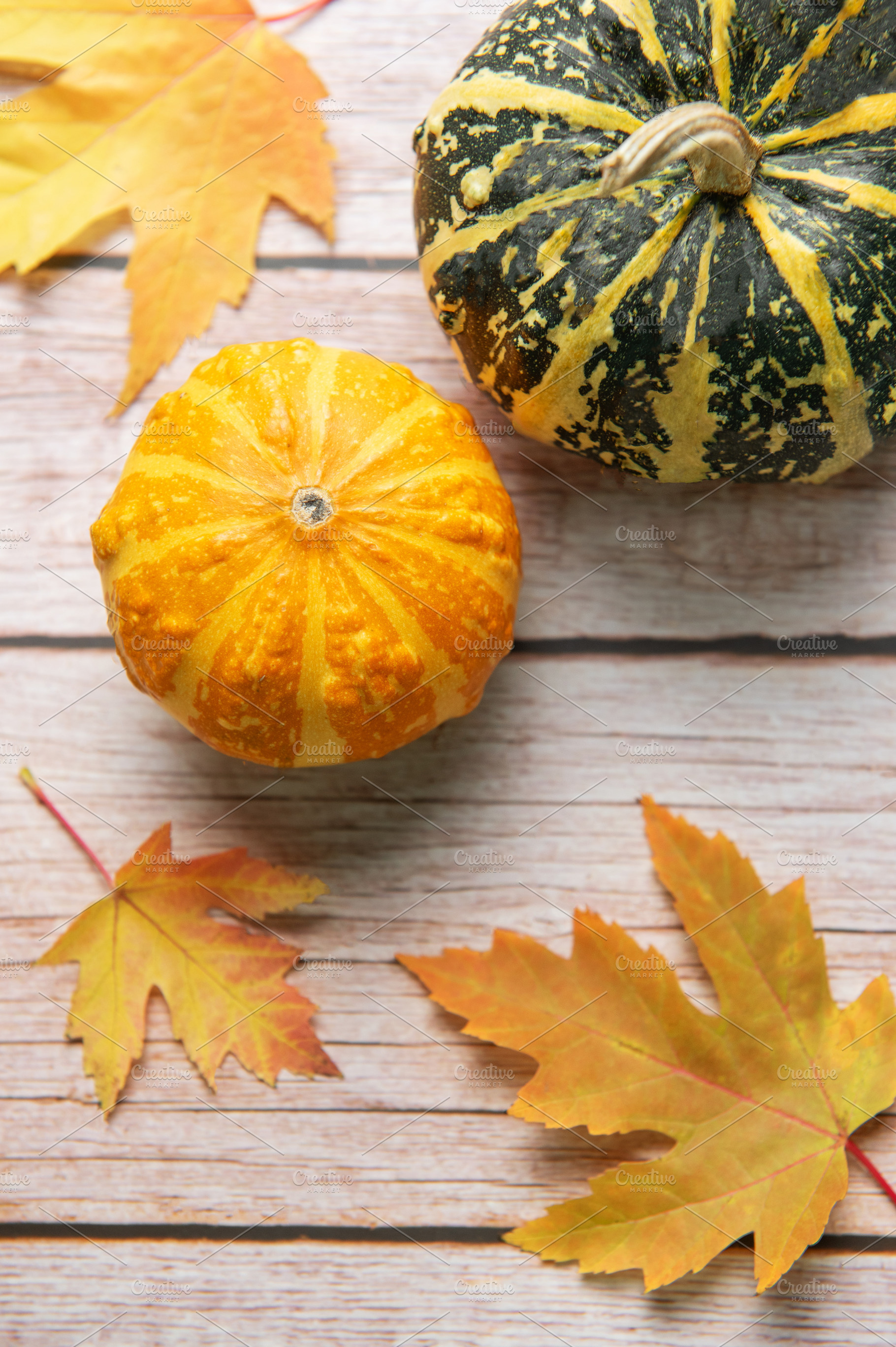 Autumn gourds and maple leaves on wood background, a Holiday Photo by Olena Rudo