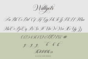 Willgets, a Script Font by Soft Creative (Thumbnail 8 of 8)