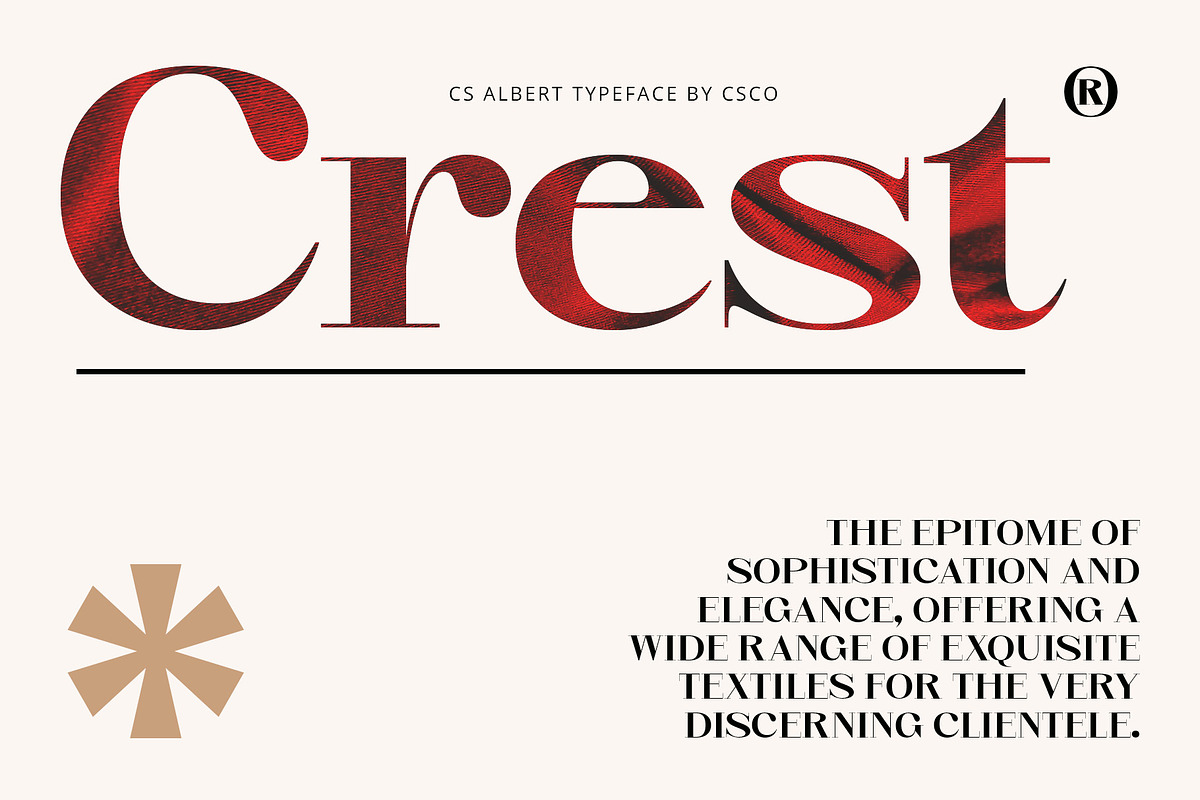 CS Albert – Classic Font, a Serif Font by Craft Supply Co. (Photo 3 of 8)