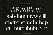 Mebiola – Elegant Cinematic Serif Fo, a Serif Font by Flawless And Co (Thumbnail 9 of 10)