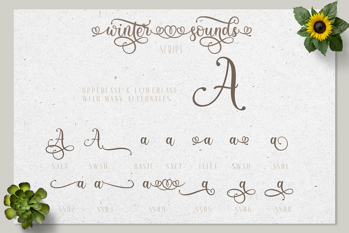 Winter Sounds | All Season Fonts, a Script Font by Almeera Std (Photo 3 of 15)