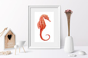 Seashells and fish, watercolor, an Animal Illustration by Hanna Hryharenka (Thumbnail 5 of 20)