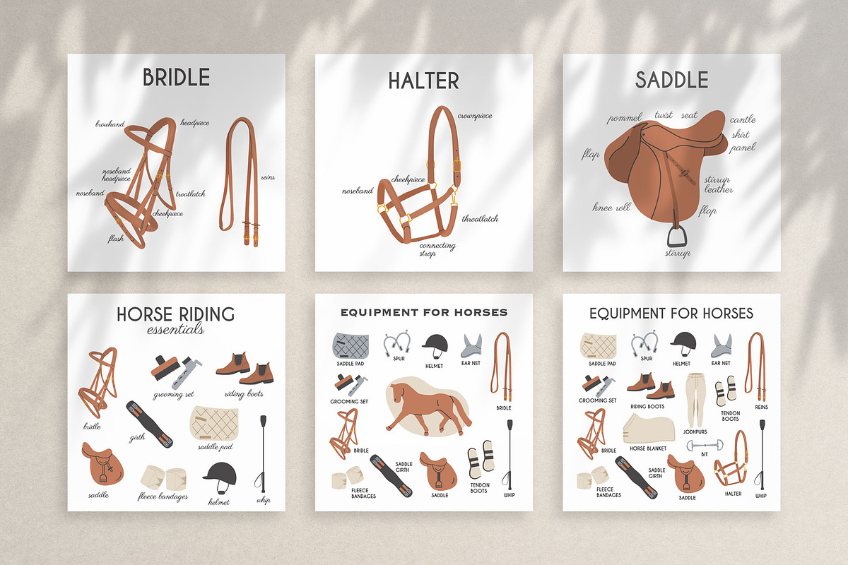 Equestrian | Graphics and Posters, an Object Graphic by millering (Photo 3 of 5)
