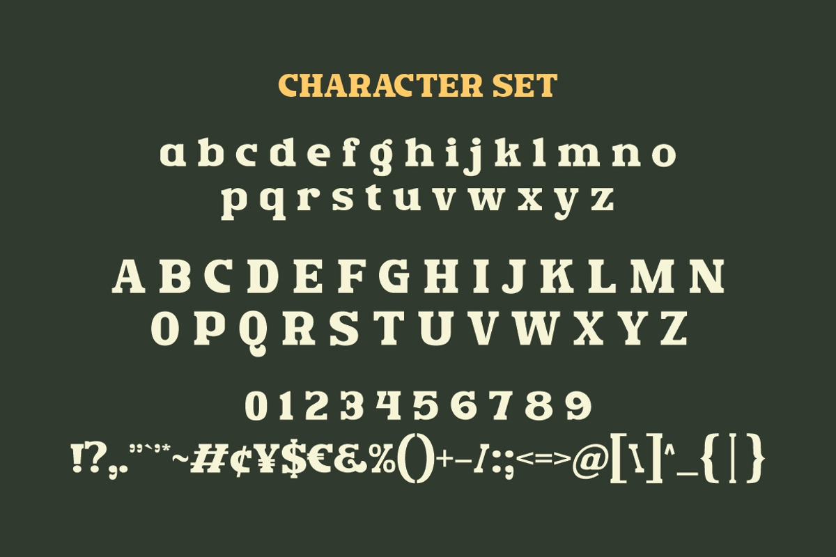 Rush Funky - Retro Serif Font, a Serif Font by HansCo Studio (Photo 10 of 11)