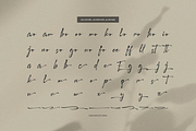 Pegiblue | Classic Signature Font, a Font by Denustudios (Thumbnail 11 of 13)