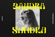 Rutch Display Font, a Serif Font by Typetemp Studio (Thumbnail 6 of 17)