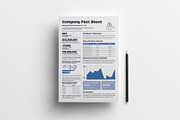 Company Fact Sheet | Word & Indesign, a Flyer Template by obayes (Thumbnail 2 of 3)