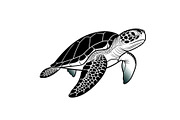 50 Sea Turtle Vector Silhouette Bund, an Illustration by jahid234 (Thumbnail 23 of 51)