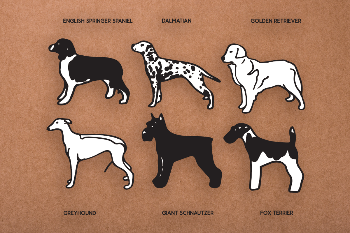 Vintage Dog Doodles Mega Bundle, an Illustration by duka (Photo 12 of 19)