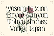 De Elora | Contemporary Art Nouveau, a Sans Serif Font by StoricType (Thumbnail 9 of 17)