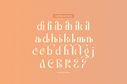 Promised Freyna Modern Display Serif, a Serif Font by Denustudios (Thumbnail 13 of 13)