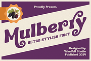 Mulberry - Bold Headline Typeface, a Sans Serif Font by Windfall Co (Thumbnail 1 of 10)