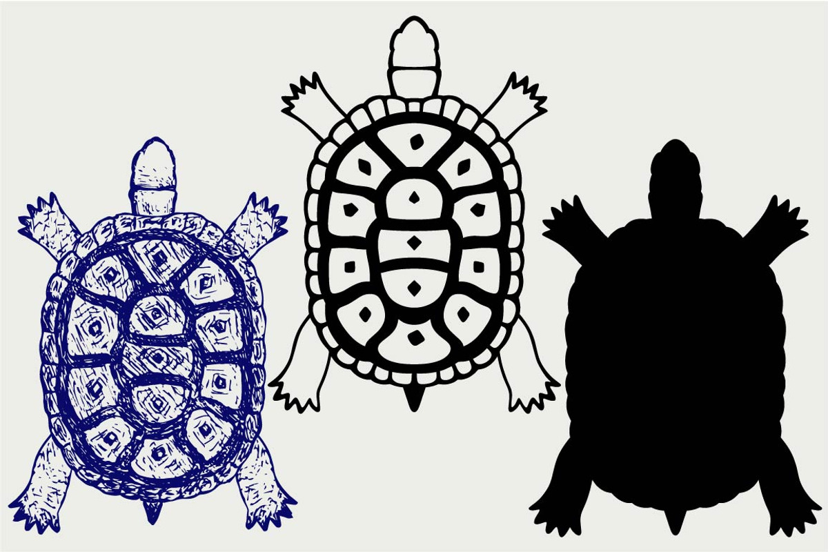 Turtle top view SVG, an Outline Icon by LineworkStock