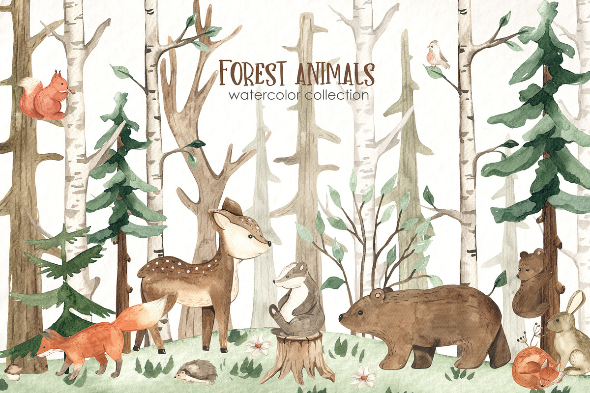 Forest animals watercolor, an Animal Illustration by Marina Ermakova (Photo 1 of 13)