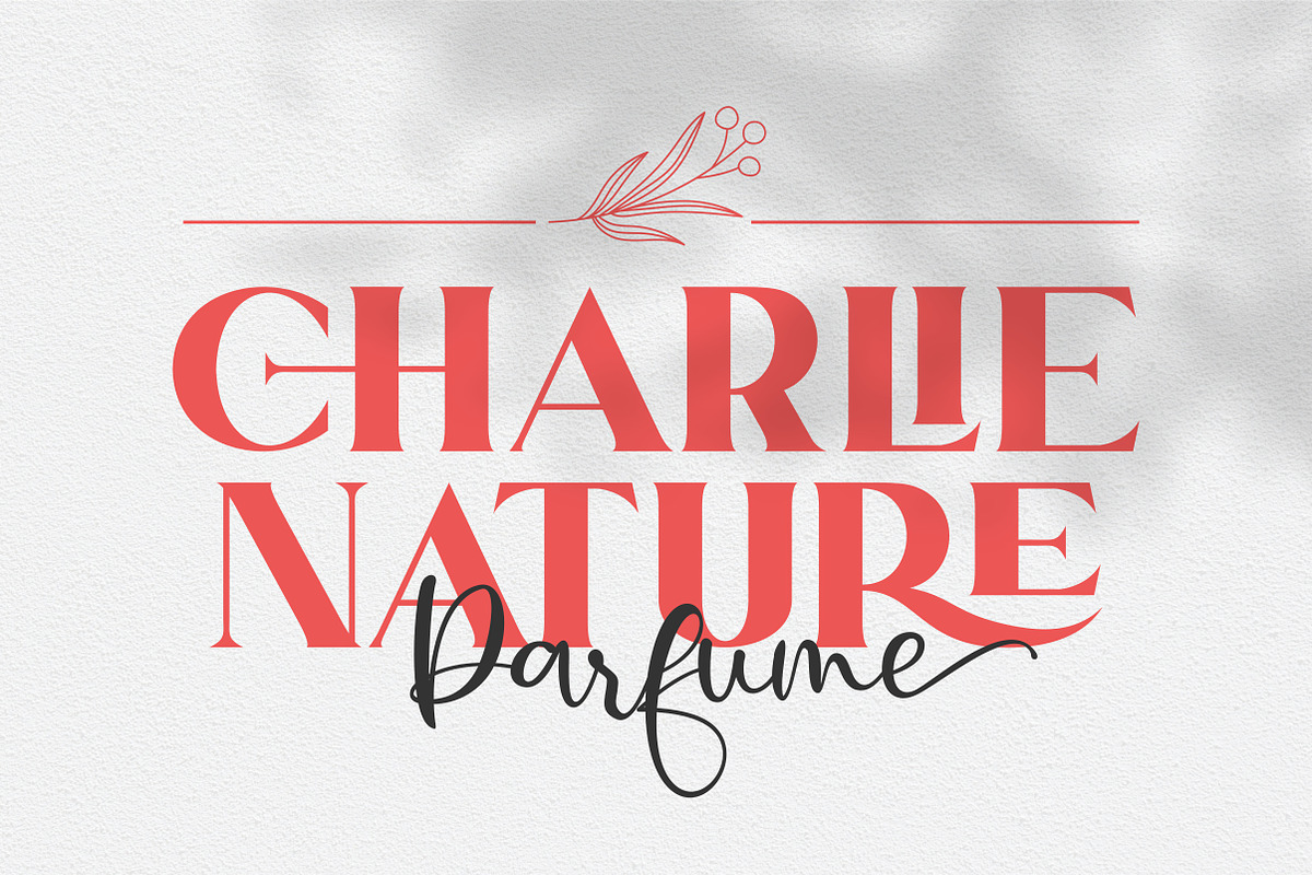 Dream Glory | A Stylish Font Duo, a Serif Font by ErgibiStudio (Photo 4 of 10)