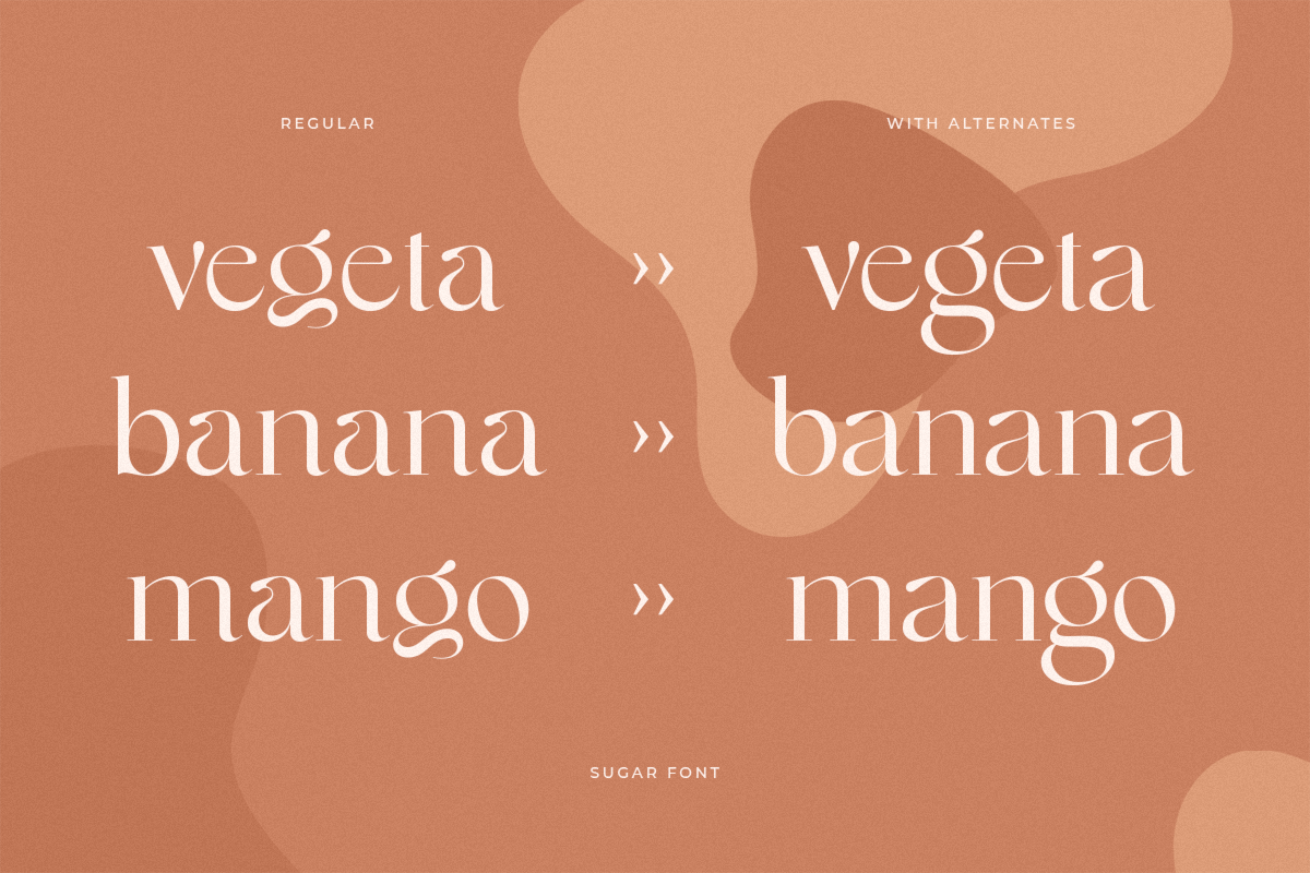 Sugar - Gorgeous Modern Font, a Font by Sensatype (Photo 4 of 20)