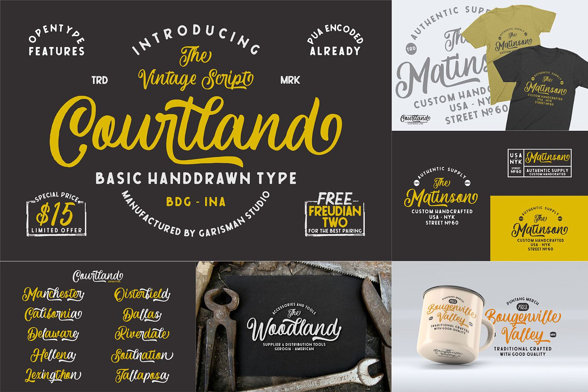 The MEGA FONT COLLECTIONS 2021, a Serif Font by Garisman Std (Photo 30 of 52)