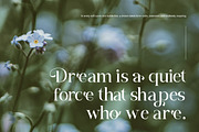Ropang Modern Classic Serif Font, a Serif Font by Vadovastd (Thumbnail 3 of 7)