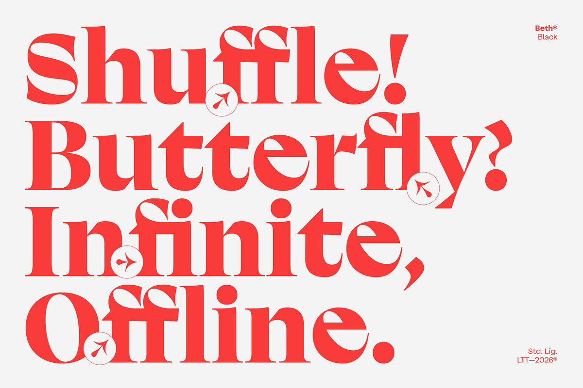 Beth - Intro Family 60% off, a Serif Font by Latinotype (Photo 14 of 17)