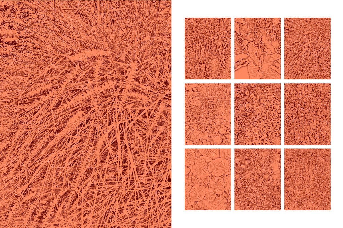 Duotone Foliage, a Texture Graphic by maggiereuter (Photo 2 of 6)