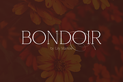 SALE! Cooltura serif font + swashes, a Serif Font by VP Fonts (Thumbnail 11 of 17)