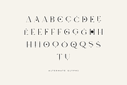 Sun Type Creative logo font, a Serif Font by VP Fonts (Thumbnail 13 of 18)